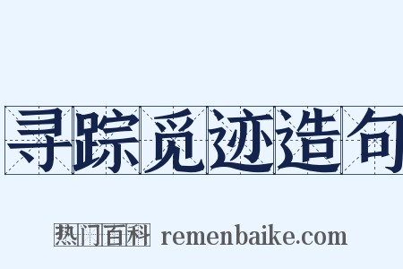 寻踪觅迹造句是什么意思的图片